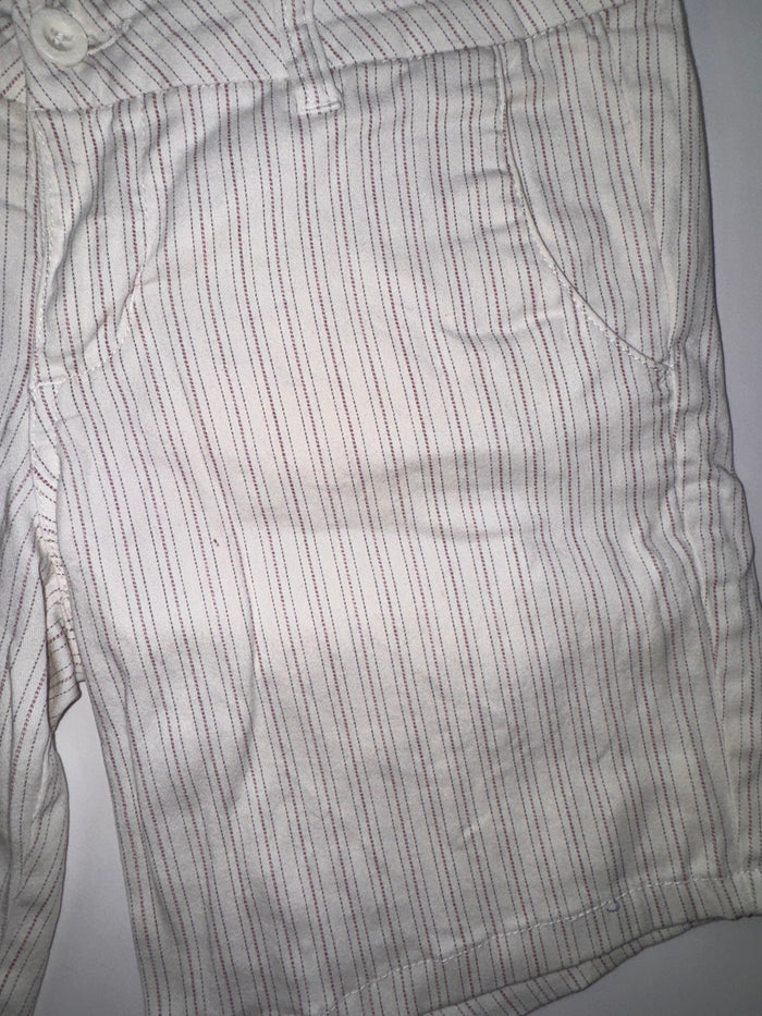Dickies shorts striped white 3