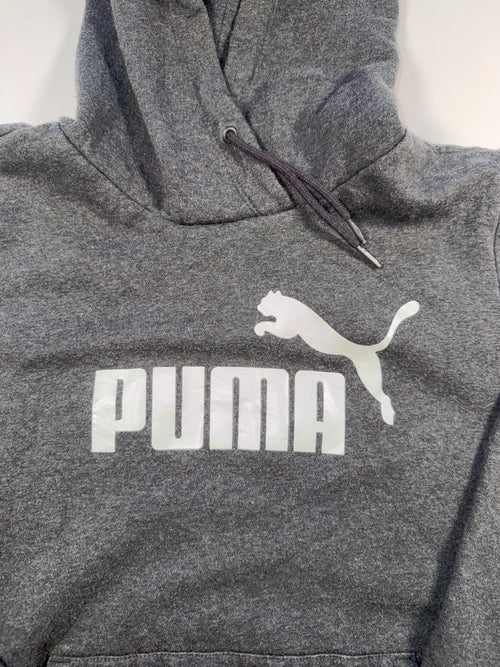 Puma Essentials Big Logo Hoodie Dark Grey Women L