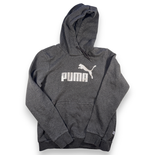Puma Essentials Big Logo Hoodie Dark Grey Women L