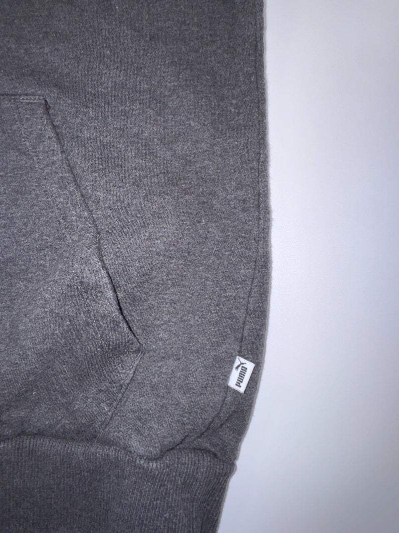 Puma Essentials Big Logo Hoodie Dark Grey Women L
